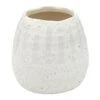 Honeybloom White Sanded Ceramic Vase, 5" -Best Decoration Store honeybloom white sanded ceramic vase 5